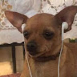 Meet your Posher, Elisa